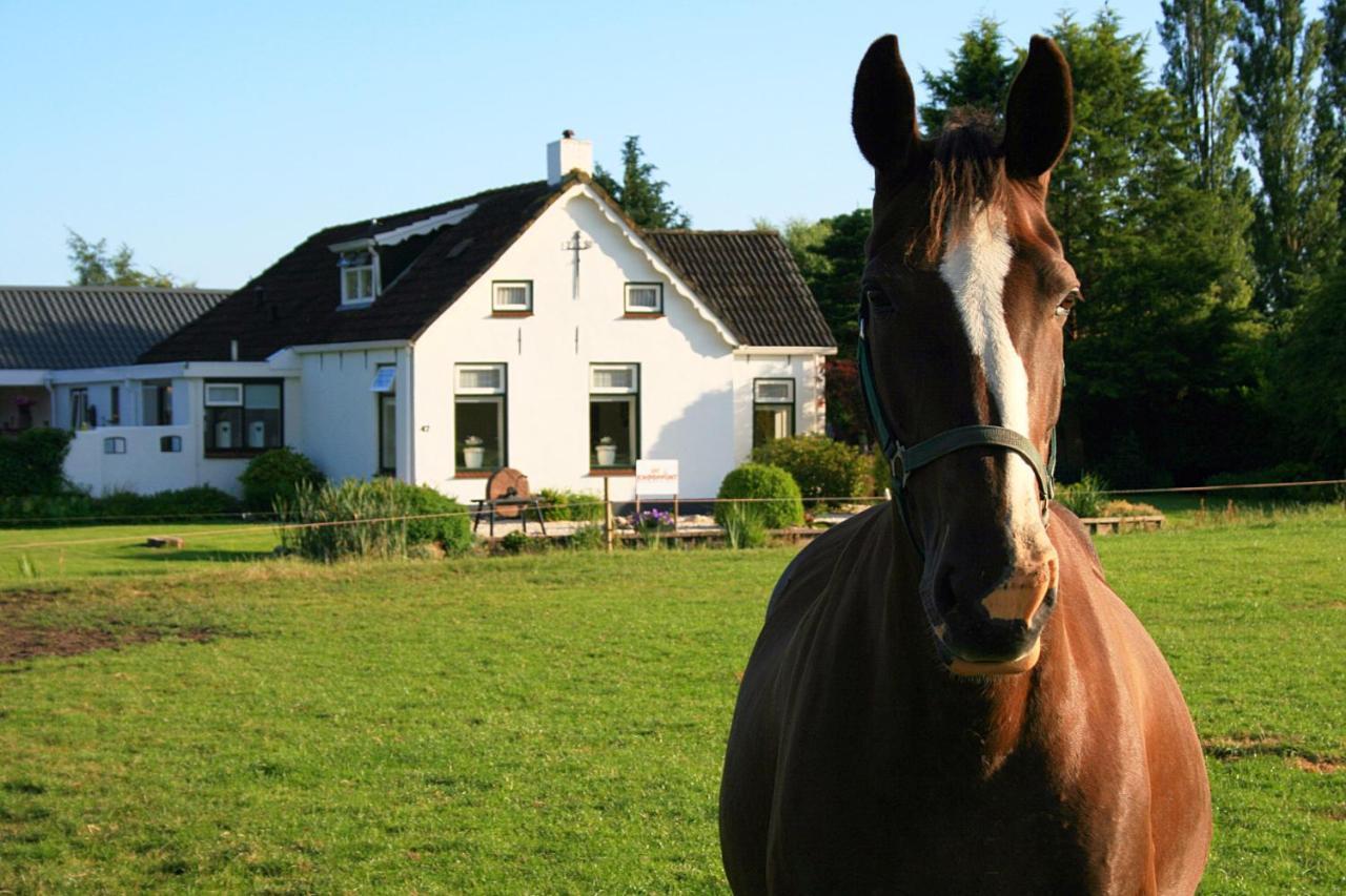 Locatie Het Knooppunt Engelse Chalet Nuis Exteriér fotografie